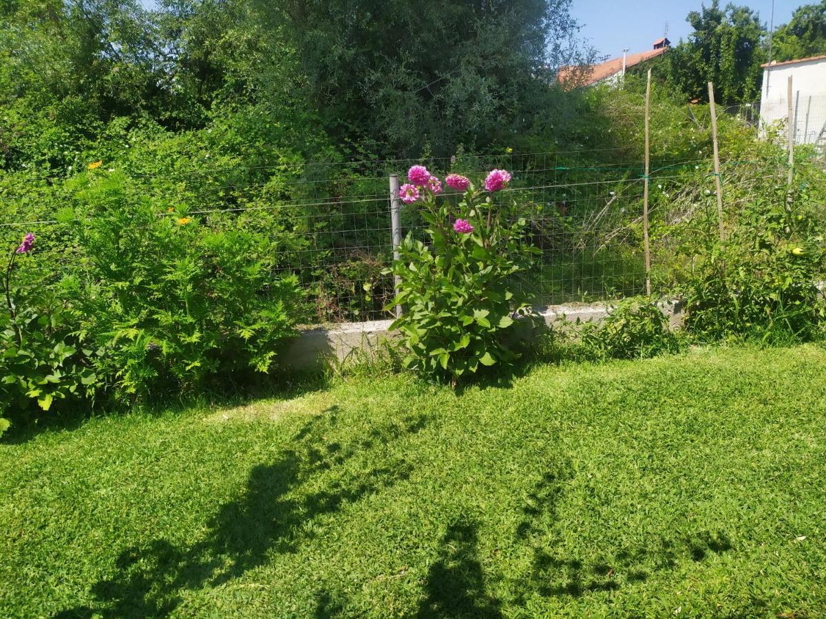 Ioannis Seaside Villa Leptokarya  Dış mekan fotoğraf